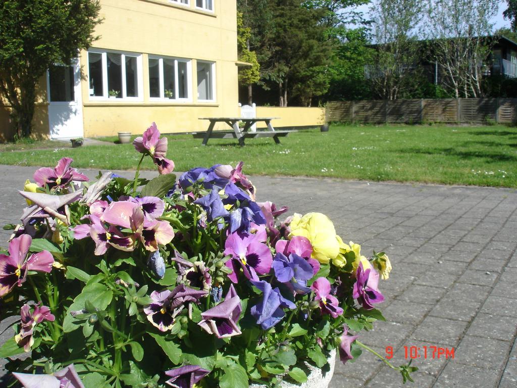 Hotel Havlund Bed And Breakfast Grenaa Ngoại thất bức ảnh